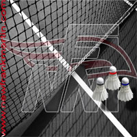 Badminton Shuttlecock