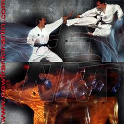 Martial Arts and Boxing