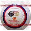 Promotional Ball (FM-42048 f-282) Promotional Ball (FM-42048 f-282)