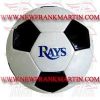Promotional Ball (FM-42048 f-82) Promotional Ball (FM-42048 f-82)